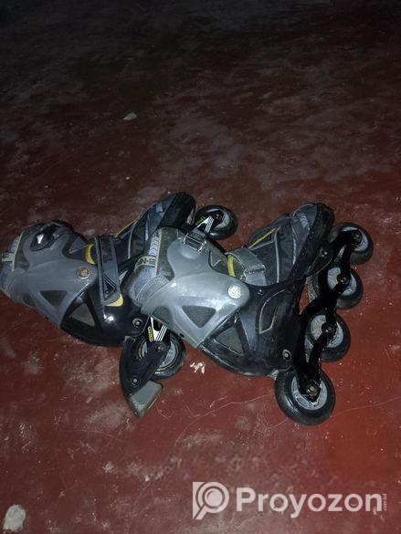 Sketting shoe for sell