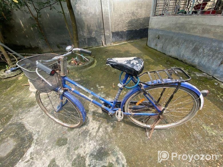 Bicycle for sale