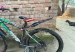 Phoenix Bicycle for sale