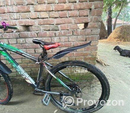 Phoenix Bicycle for sale