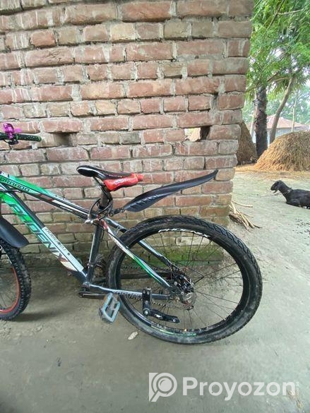 Phoenix Bicycle for sale