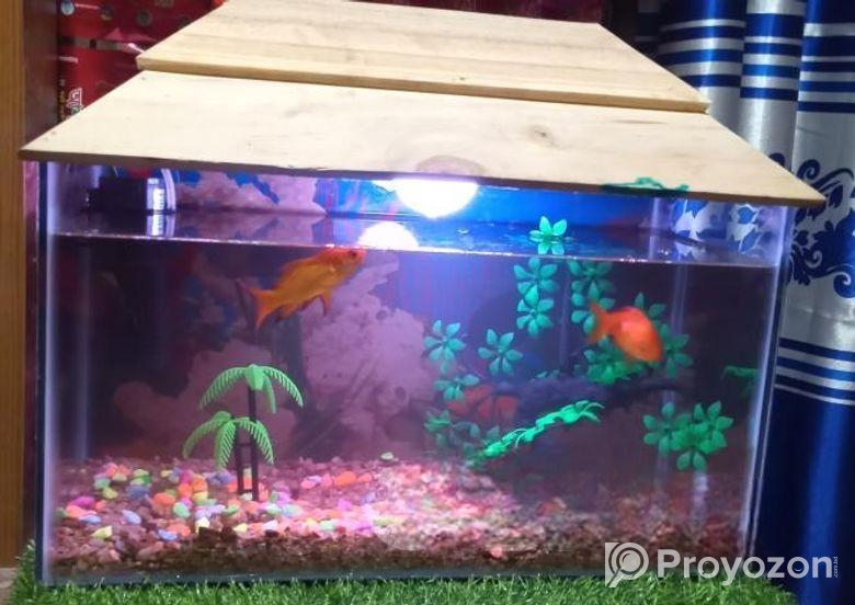 একুরিয়াম বিক্রি হবে (aquriam)