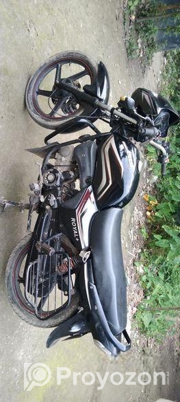 Runner Royal Plus . 2019