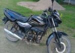 Runner Royal Plus . 2022