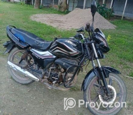 Runner Royal Plus . 2022