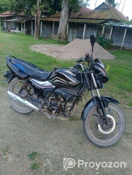 Runner Royal Plus . 2022