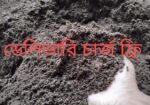 কেঁচো সার ভার্মিকম্পোস্ট