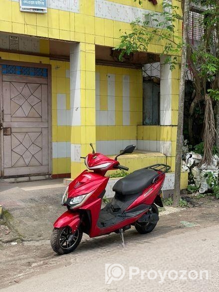 Green Tiger GT . 2023