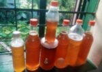 সুন্দরবনের মধু