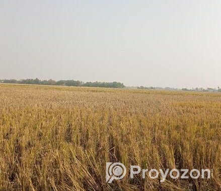 জমি বিক্রি