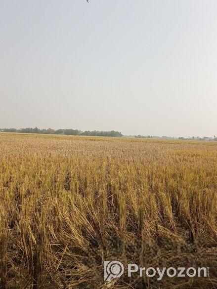 জমি বিক্রি