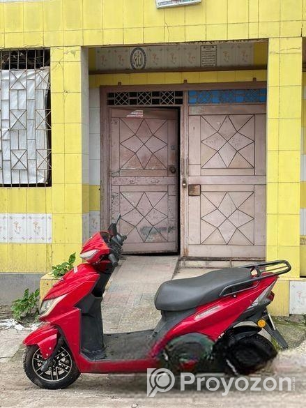 Green Tiger GT . 2023