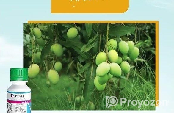 ধামাকা অফারে কলটার কিনুন