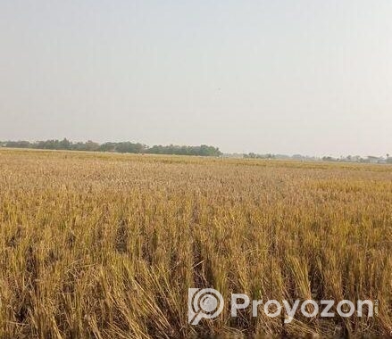 জমি বিক্রি