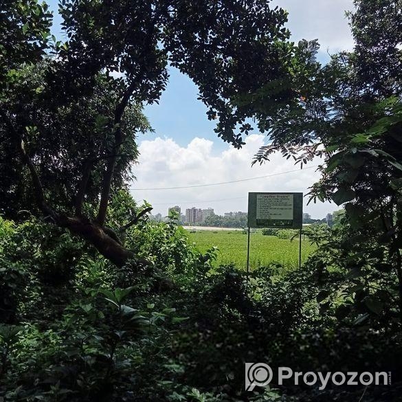 Land Share For Sale at Purbachol