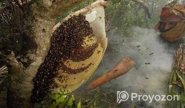 সুন্দরবনের খাঁটি মধু