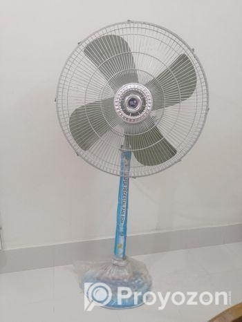 Pakistani Boro Stan Fen