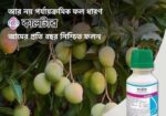 ধামাকা অফারে কলটার কিনুন