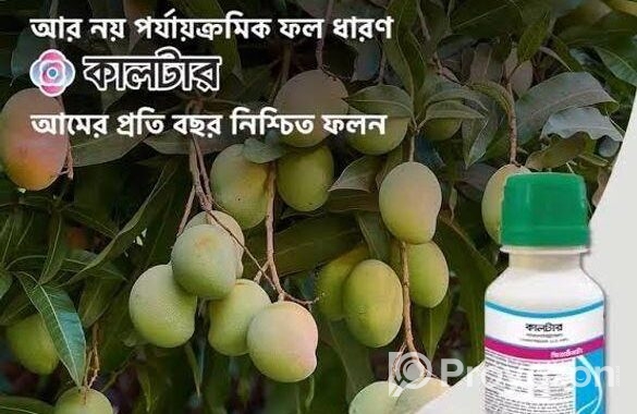 ধামাকা অফারে কলটার কিনুন