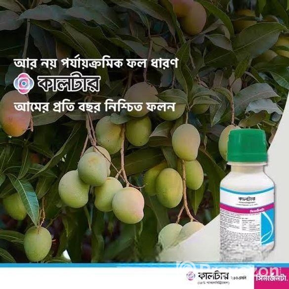 ধামাকা অফারে কলটার কিনুন