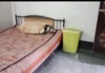 রংপুর সিটিতে বাসাসহ জায়গা বিক্রি