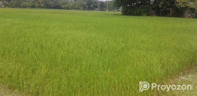 Land Sale
