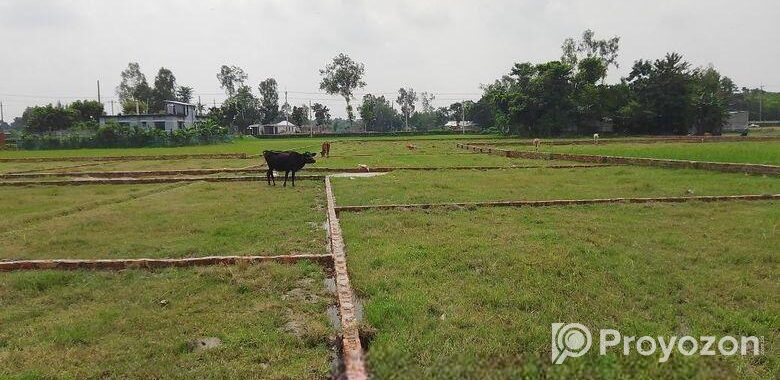 প্লট আকারে জমি বিক্রি হচ্ছে।