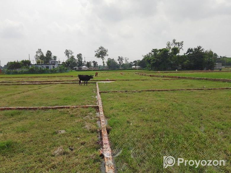 প্লট আকারে জমি বিক্রি হচ্ছে।