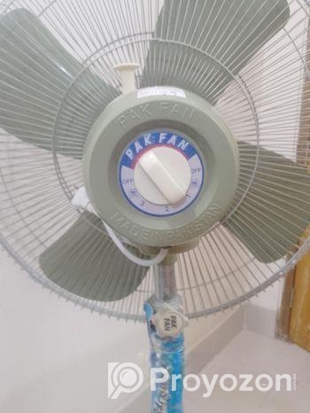 Pakistani Boro Stan Fen