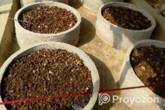 ভার্মি কম্পোস্ট ১ কেজি প্যাক