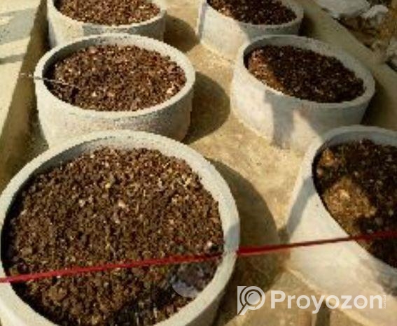 ভার্মি কম্পোস্ট ১ কেজি প্যাক