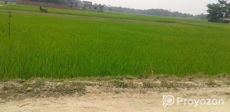 Land Sale