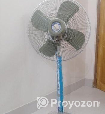 Pakistani Boro Stan Fen