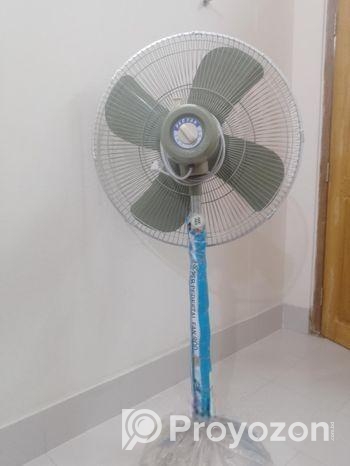 Pakistani Boro Stan Fen