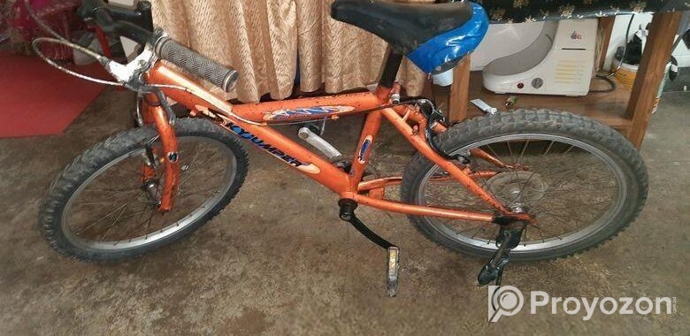 Bicycle for sale