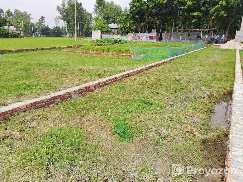 প্লট আকারে জমি বিক্রি হচ্ছে।