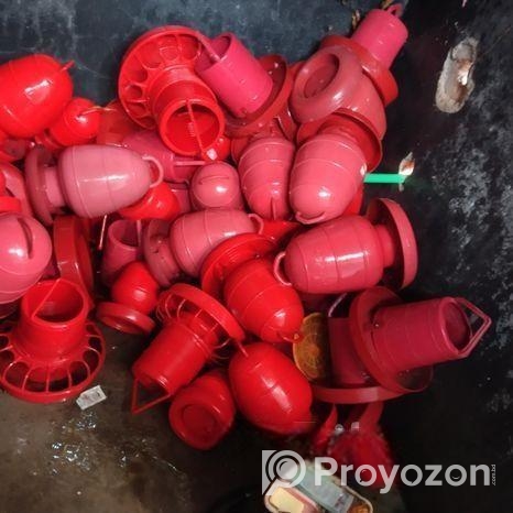 মুরগির খাবারও পানির পাত্র