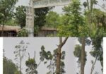 জমি বিক্রি