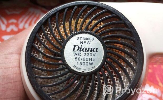 Diana 1500W hair dryer.