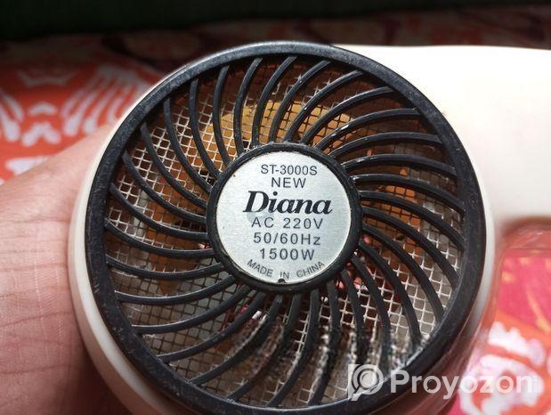 Diana 1500W hair dryer.