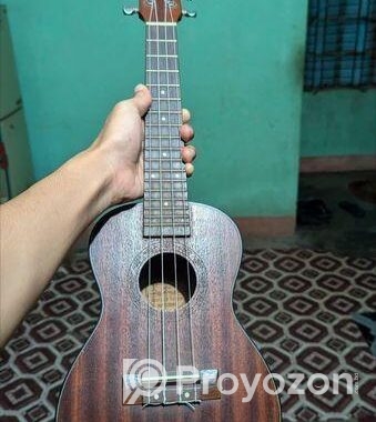 Hertz Ukulele