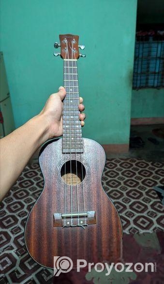 Hertz Ukulele