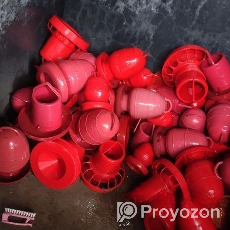 মুরগির খাবারও পানির পাত্র