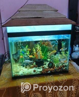 Aquarium