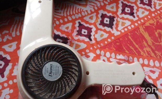 Diana 1500W hair dryer.