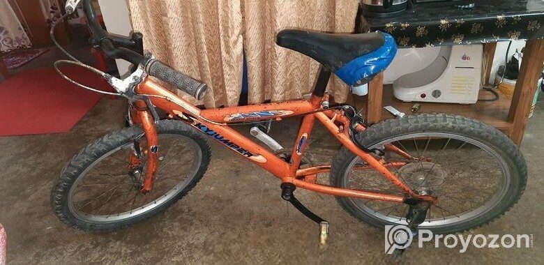 Bicycle for sale