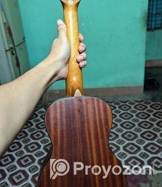 Hertz Ukulele