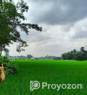 ৫ শতক জমি বিক্রয় করা হবে রাস্তা সহ