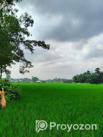 ৫ শতক জমি বিক্রয় করা হবে রাস্তা সহ