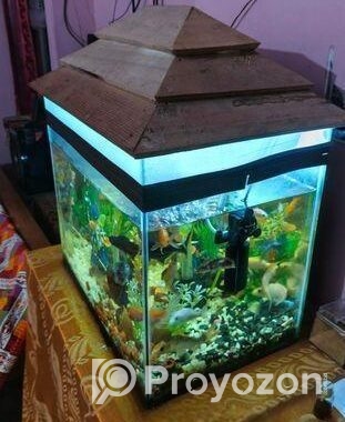 Aquarium